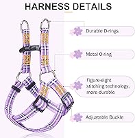 Vista 8 de BEAUTYZOO No Pull Dog Harness and Leash Set - Adjustable Step-in Puppy Harness for Small Medium Large Dogs, Escape Proof Soft Nylon Vest with Double