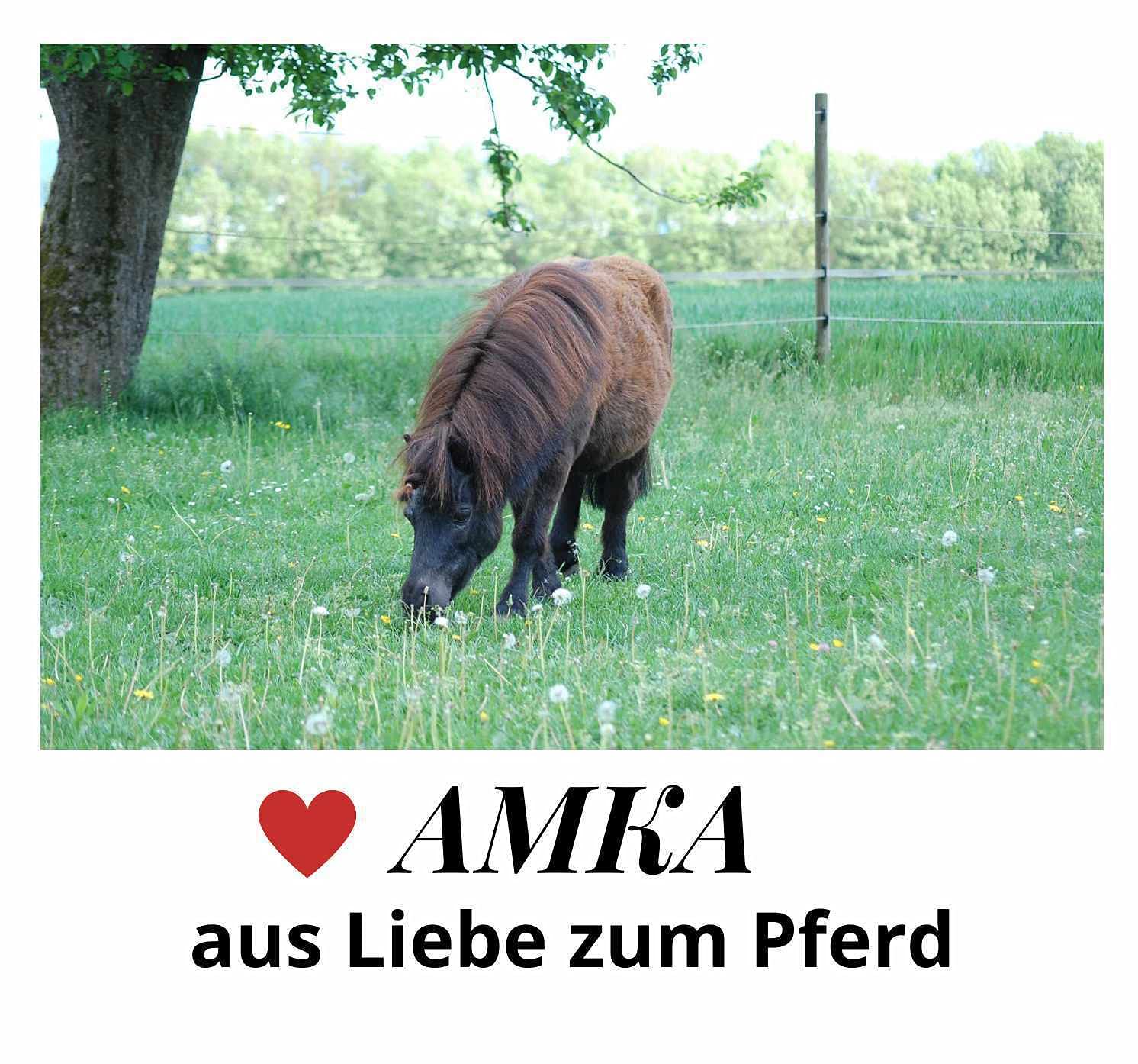 AMKA Messstock für Pferde Stockmaß für Kleinpferde bis 100 cm Wasserwaage ALU Stockmaß