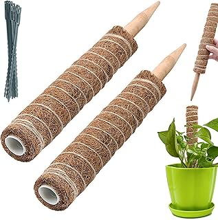 BECHOICEN Moss Pole, 2Pcs Coir Totem Pole Plant Support Totem Pole Moss Pole for House Plants Moss Pole for Cheese Plant with 20 Pieces Garden Cable Ties,12inch