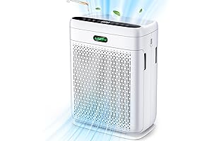 Winx Air Purifier: Breathe Clean, Live Well