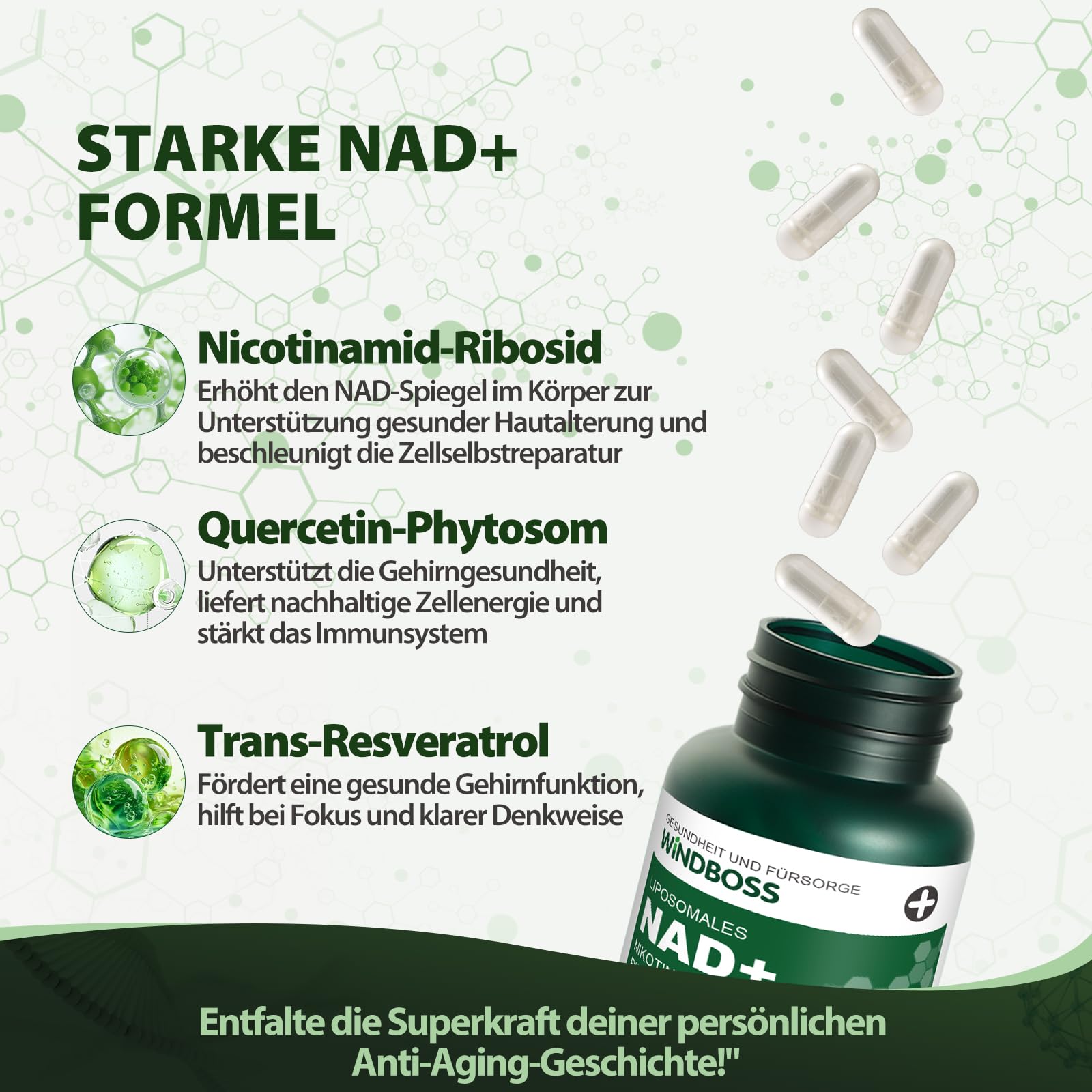 Windboss NAD+ Liposomal NR 900mg, Ergänzung mit Nicotinamid-Ribosid, Quercetin Phytosome, Resveratrol, Supplements Hoch bioverfügbar für Energie, Haut & Vitalität, NAD Booster 100 Kapseln