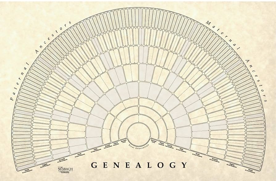 amazon-com-treeseek-genealogy-fan-wall-chart-large-blank-fillable-pedigree-form-for-family-history-and-ancestry-office-products for Free Printable Genealogy Fan Chart Amazon.com: TreeSeek® Genealogy Fan Wall Chart | Large Blank Fillable Pedigree Form for Family History and Ancestry : Office Products for Free Printable Genealogy Fan Chart