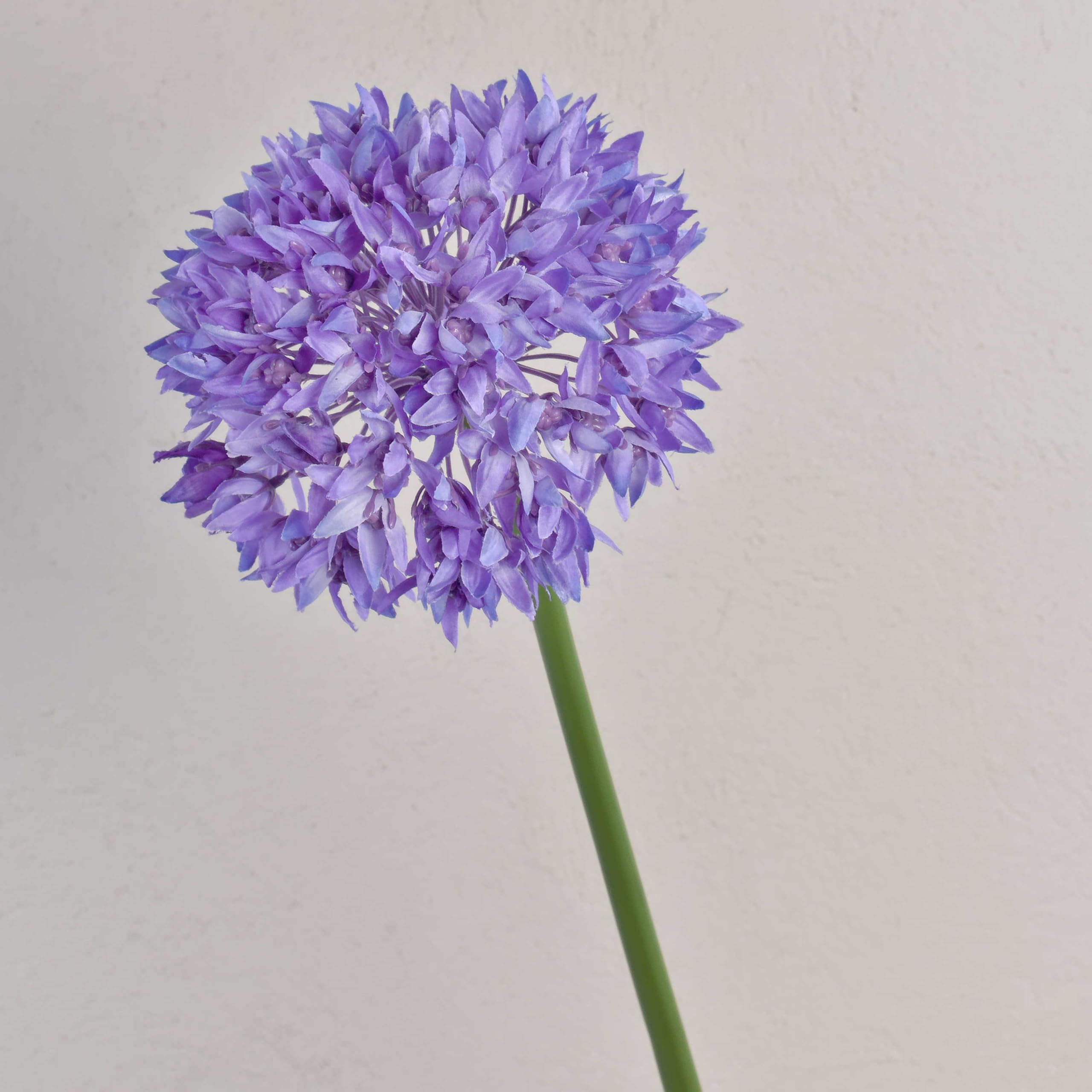 artplants.de Silk allium flower LISBETH, purple, 70cm - Artificial allium - Garlic plant