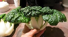 Review Image by Judy L. Judy L.