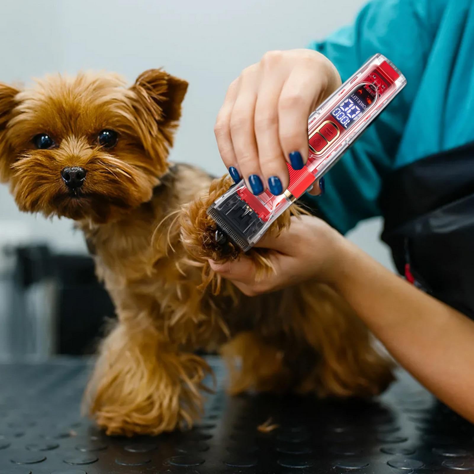 Tagliacapelli per animali domestici, kit per la toelettatura dei cani