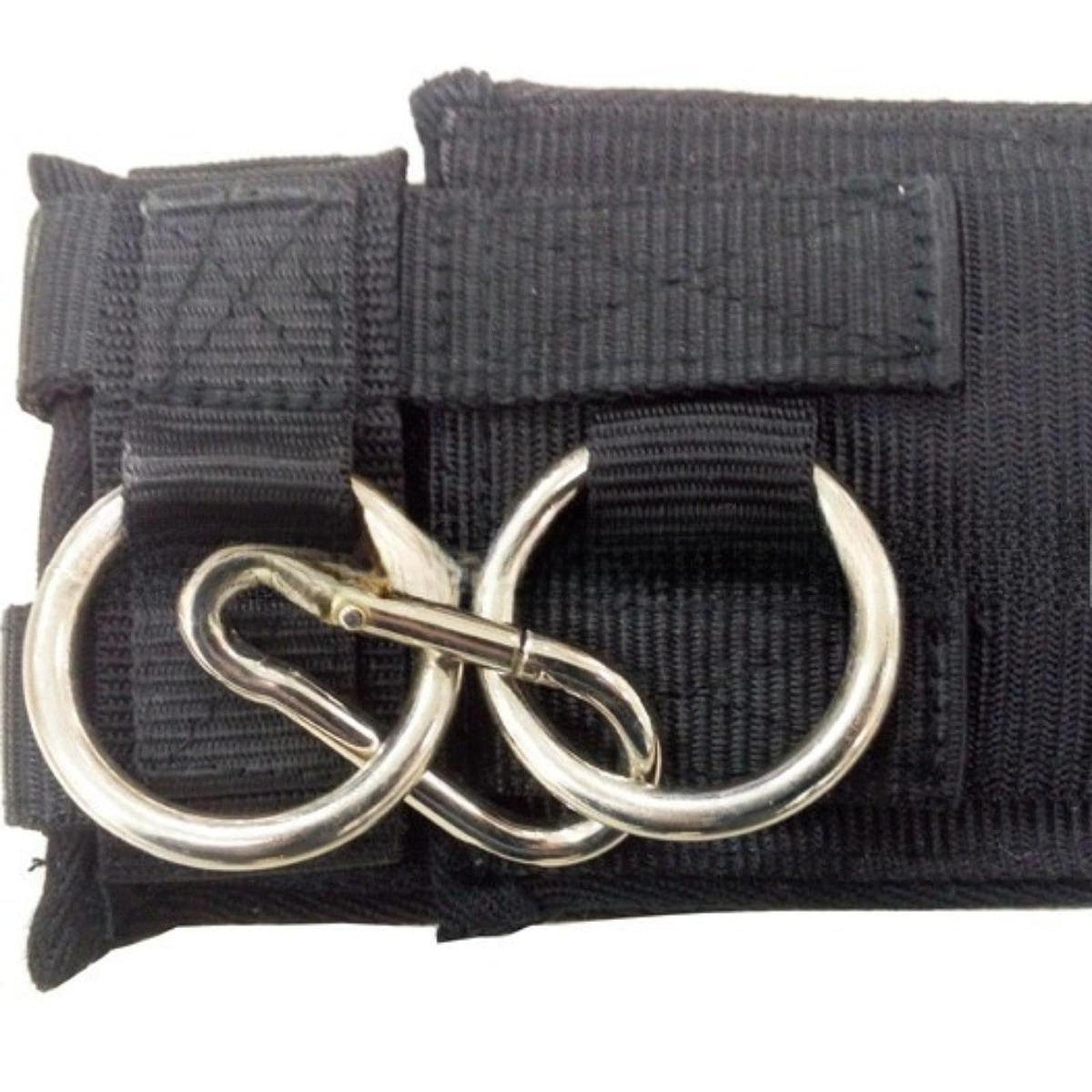 Fenteer Système de Formation Horse Supprocle pour Chevaux avec Matériel