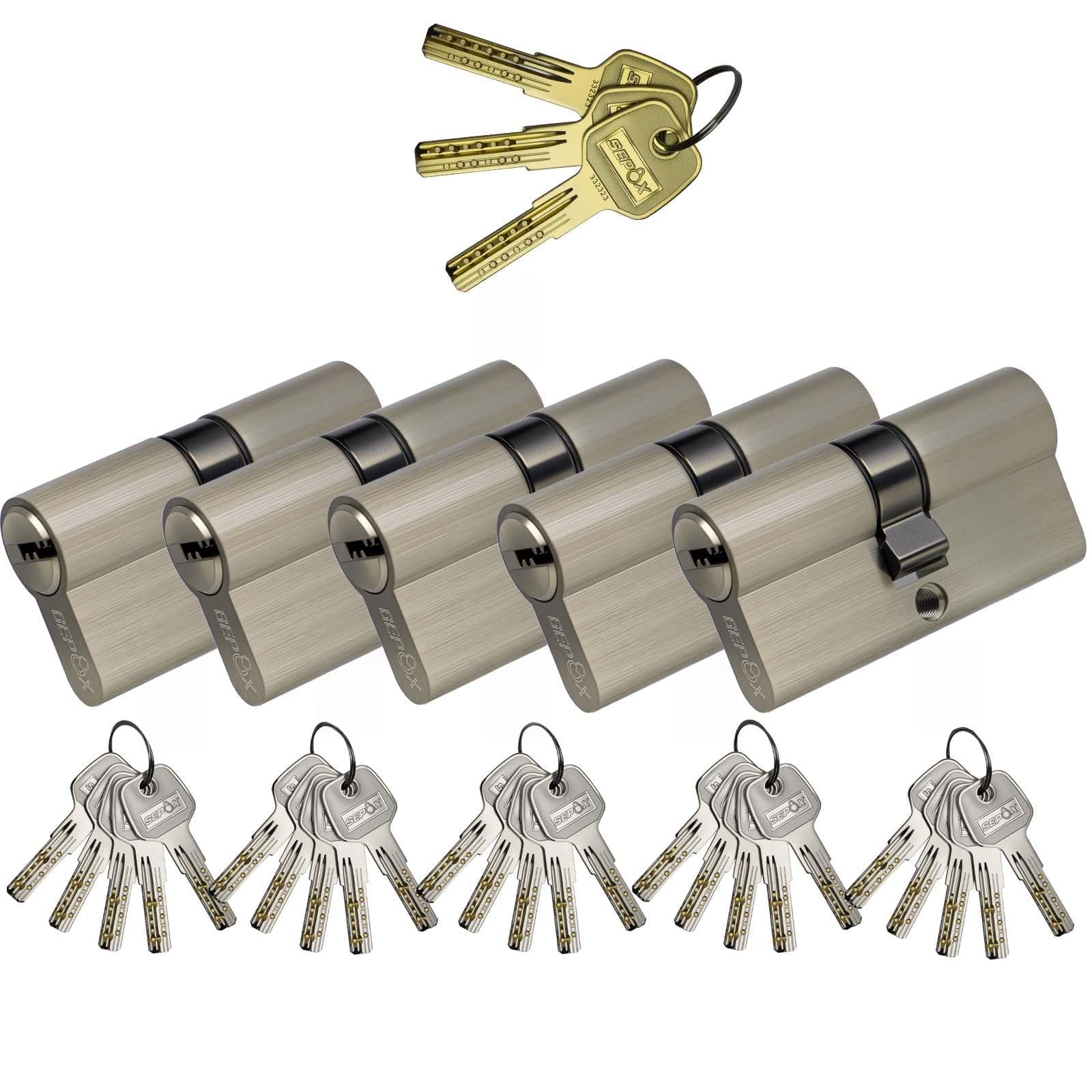 SEPOX® 5pcs Cylindre Profil Euro 60mm(30/30) Double Entrée Clé Maîtresse