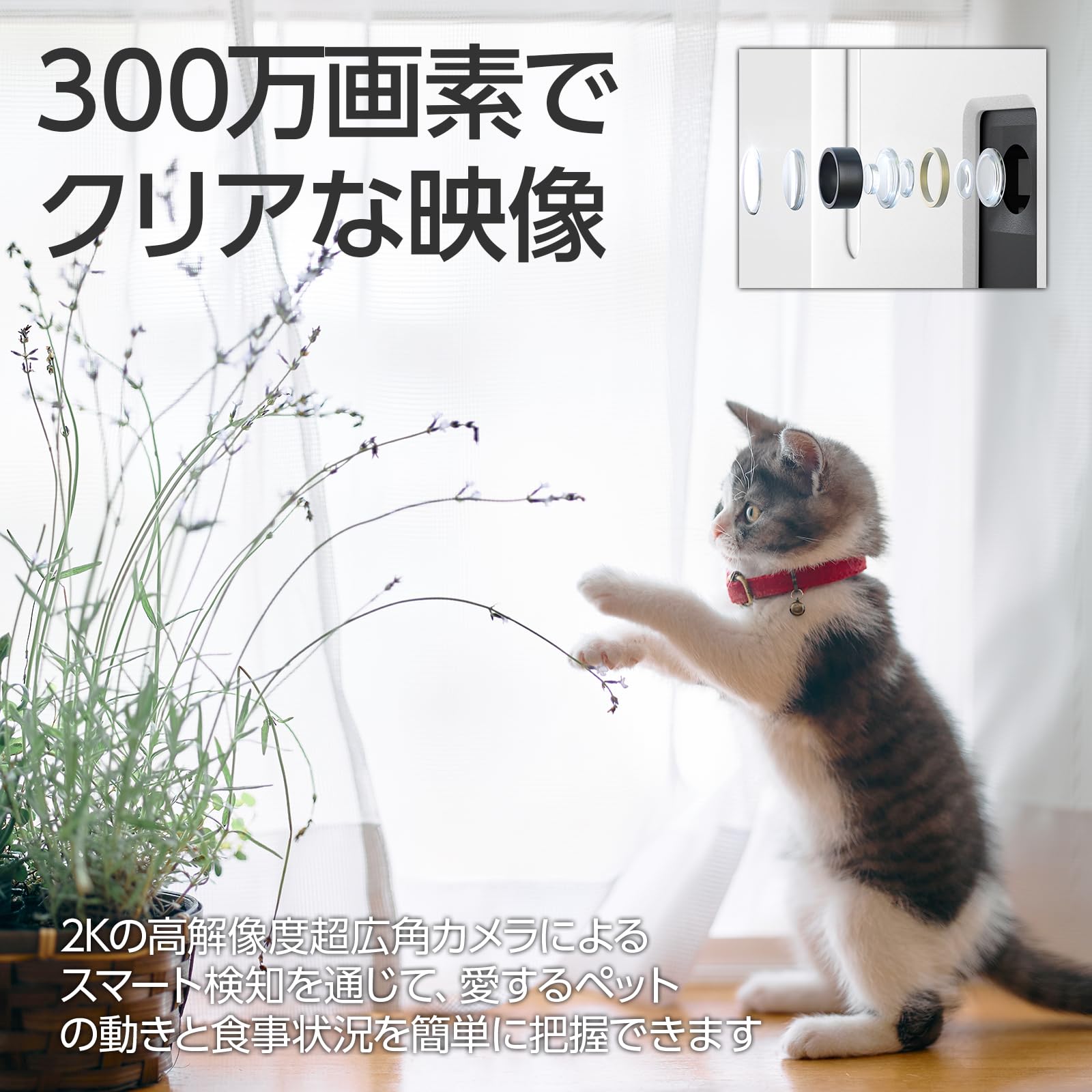 Amazon | ブリシア 自動給餌器 給水機一体型 猫・犬用 給餌器 ペット