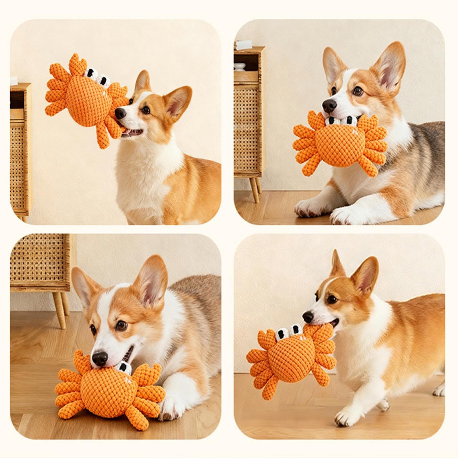 Generico Giocattoli Squeak per Cani Giochi da Masticare per Cuccioli e Cani | Giocattoli adatti a Cani che Mordono Aggressivamente Per Compleanno Natale Halloween di Riporto e Lancio