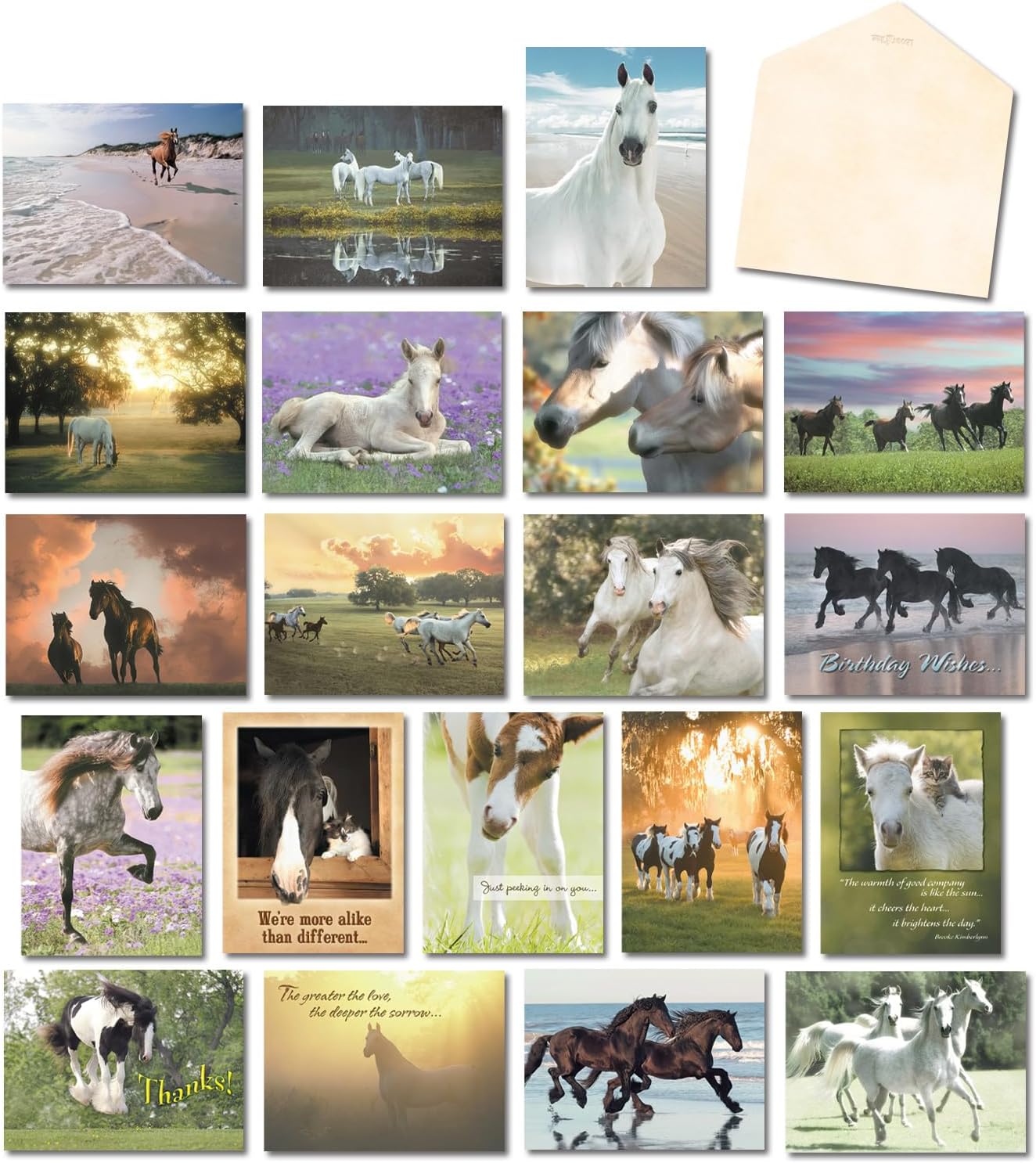 Leanin' Tree, Horse Country, Greeting Cards Assortment Box All Occasion with Inside Message and Blank Cards (20 Assorted Cards, 22 Colorful Envelopes)