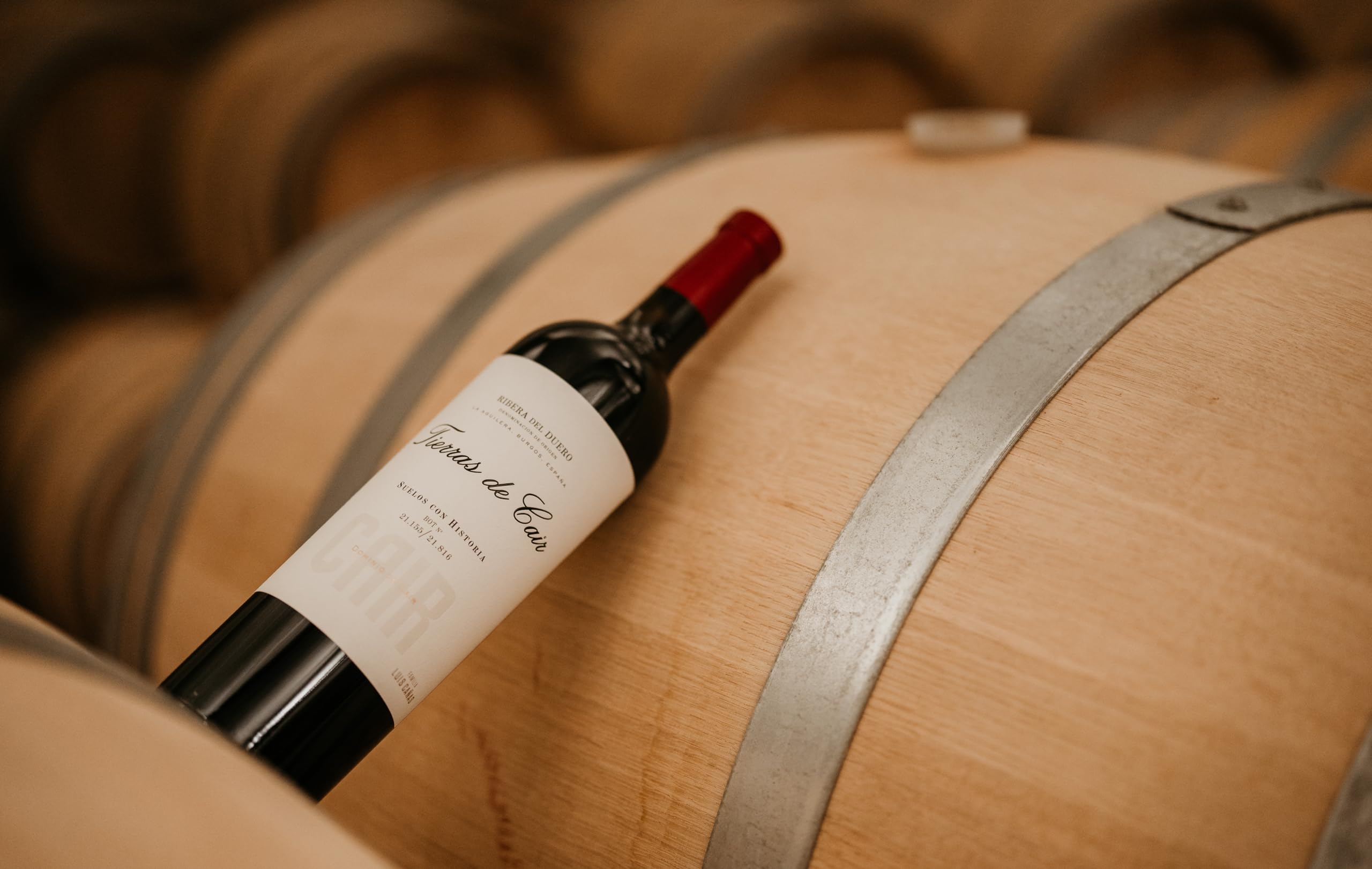 Tierras de Cair - Vino Tinto con D.O. Ribera del Duero - Reserva - Variedad Tempranillo - Intenso y Complejo - Reposo en Barrica de Roble Francés - Incluye Estuche Cartón Premium - Botella de 75 cl
