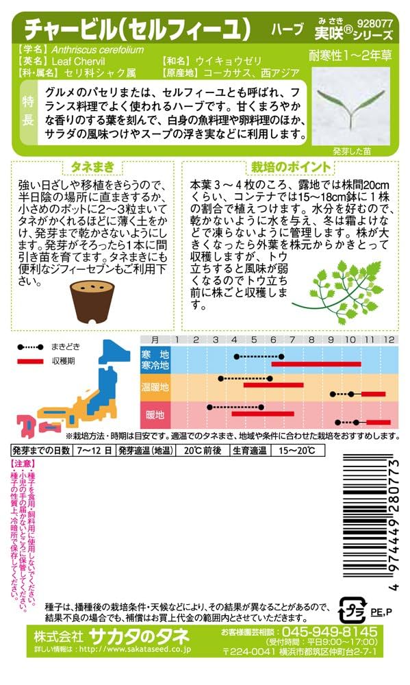 Amazon | サカタのタネ 実咲ハーブ8077 チャービル(セルフィーユ