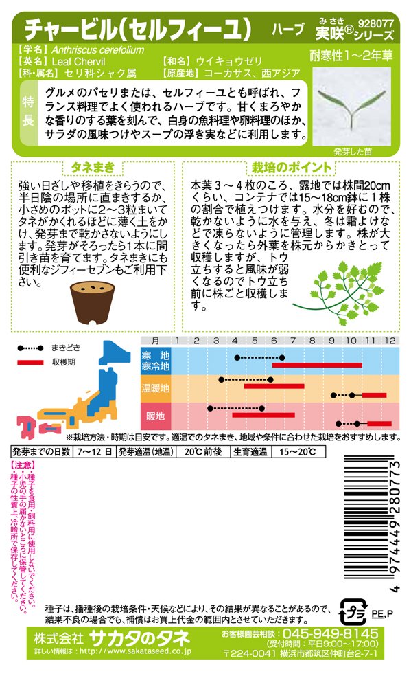 Amazon | サカタのタネ 実咲ハーブ8077 チャービル(セルフィーユ