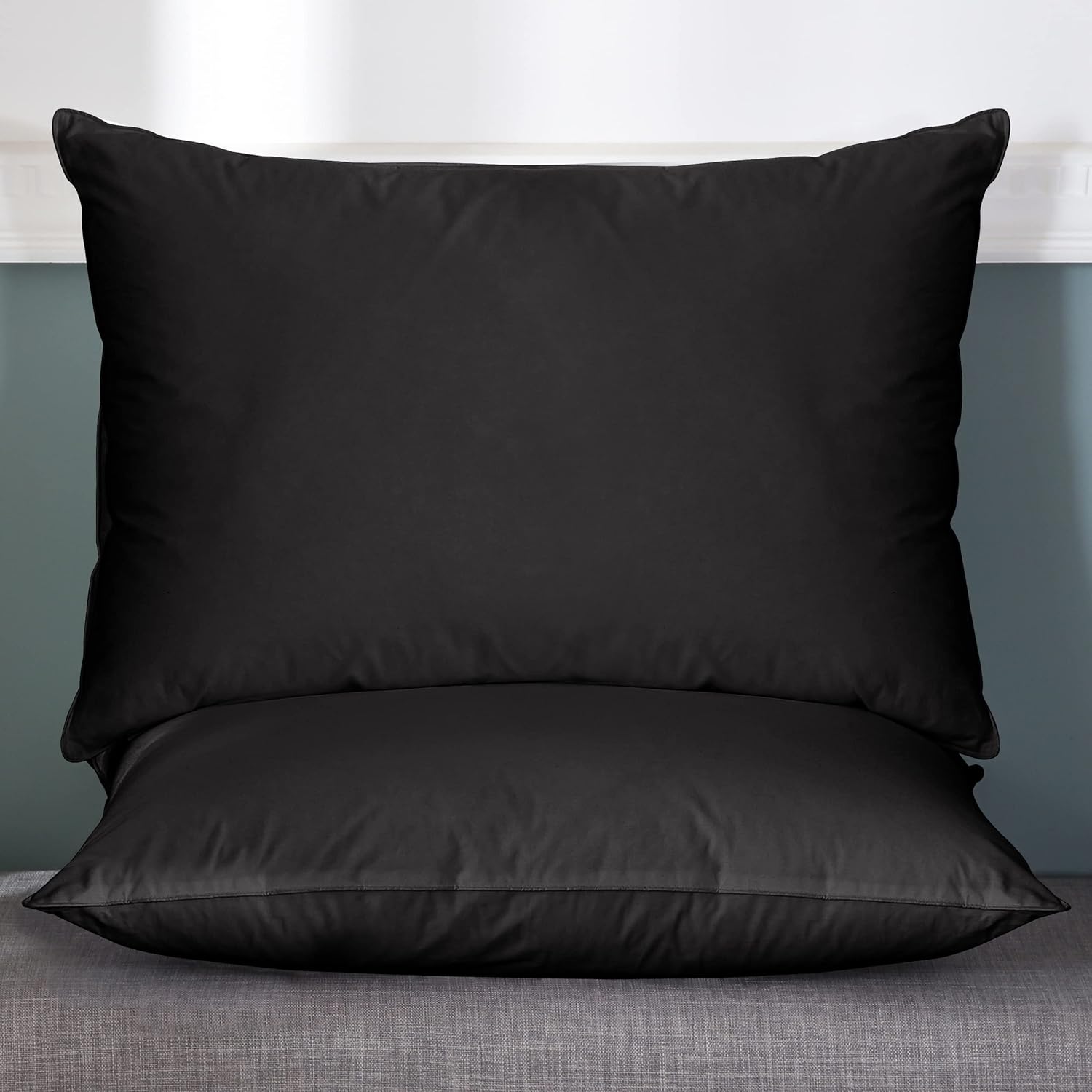 WENERSI Premium Waterfowl Feather Down Pillows with Feather