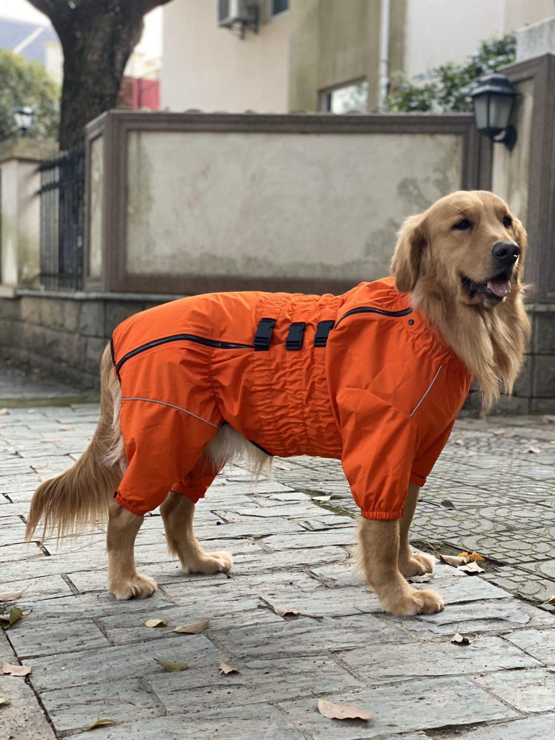 wasserdichte Hundejacke, leichte reflektierende Sicherheits-Hunderegenjacke, Winddichte und schneesichere Hundeweste für kleine, mittelgroße und große Hunde. Orange 5XL
