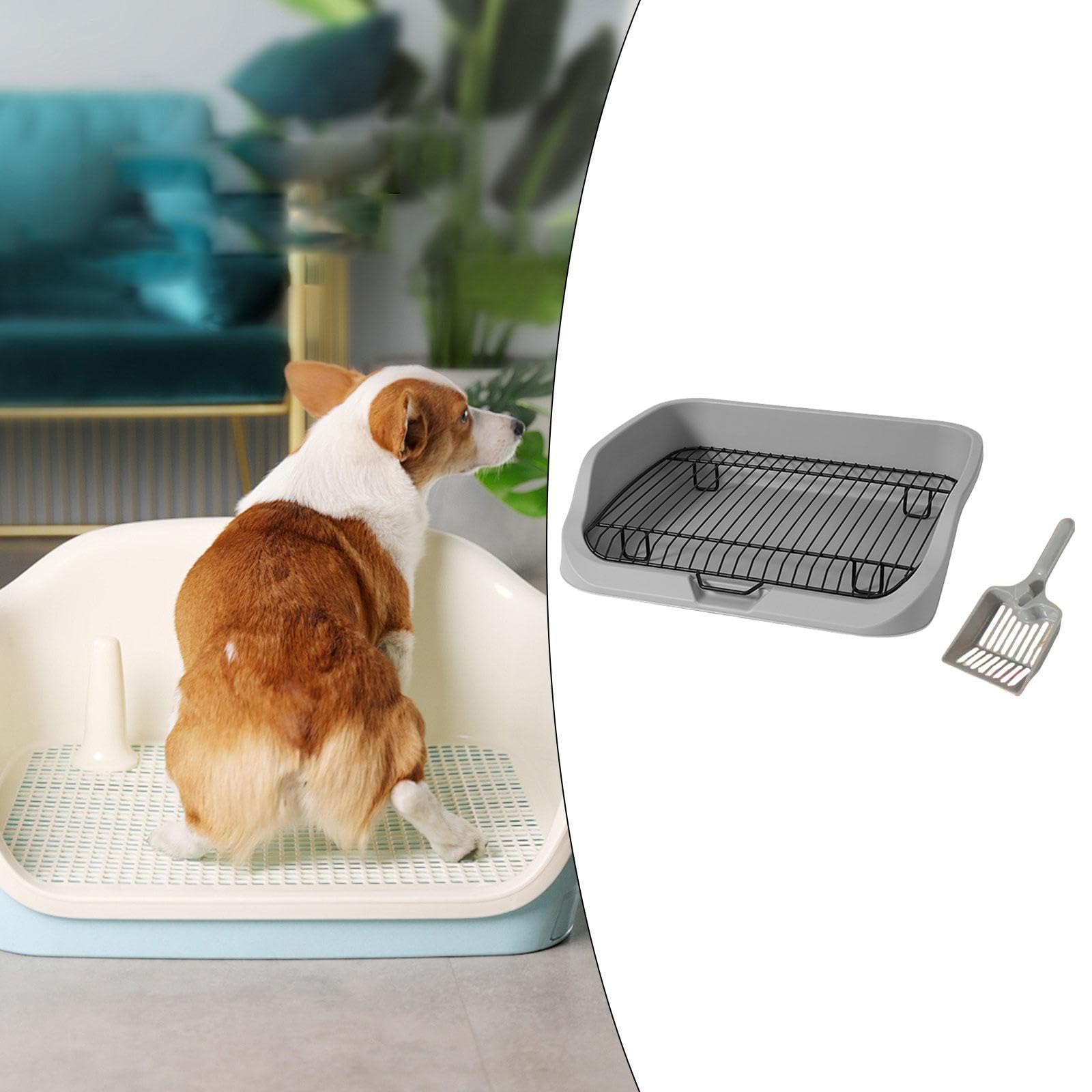 Inodoro para Perros Bandeja de Enseñanza Mascotas Higiénica con Rejilla Base Antideslizante Y Estructura de PP Acero Inoxidable Adecuado para Entrenar