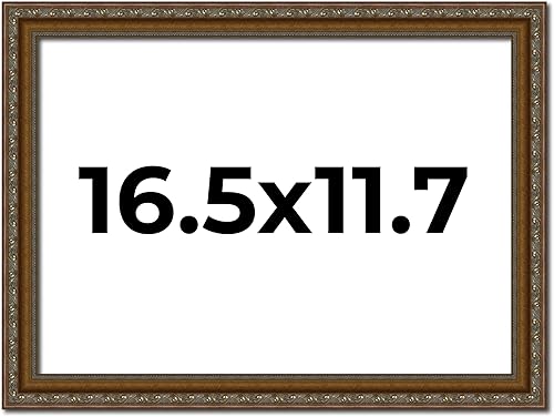 Miniatura 30 de Marco de fotos completo de madera dorada envejecida de 16 x 20 pulgadas con plexiglás acrílico UV, parte trasera de tablero de espuma y accesorios