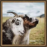 Vista 14 de Poster Palooza Marco de fotos de madera tradicional dorado antiguo de 12 x 18 pulgadas con plexiglás acrílico UV, respaldo de tablero de espuma