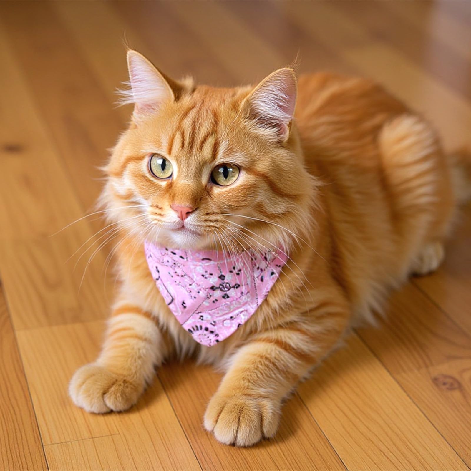 Chusta na szyję dla psa, bandana, 6 sztuk, z obrożą, regulowana, dla kotów, szczeniaków, małych psów, kotów