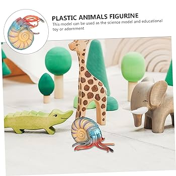 オウムガイ　ハーフカット　額入 オウムガイハーフカット(B品) | 博物と古物の奇妙な雑貨店