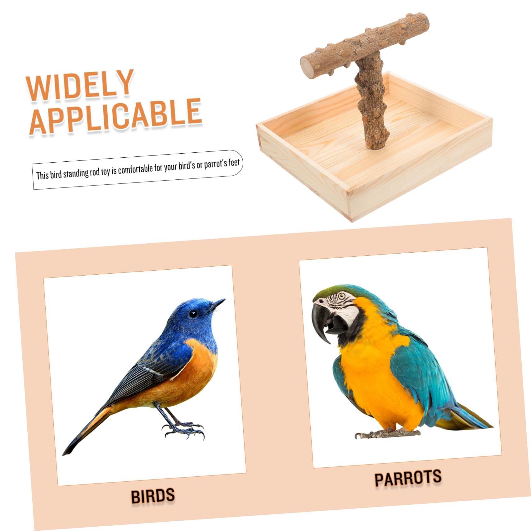 Kisangel Vogelständer Natürlichem Parrot Perch Für Käfige Und Tische Sicherer Üben Und Ausruhen Für Nymphensittiche Und Andere Vögel