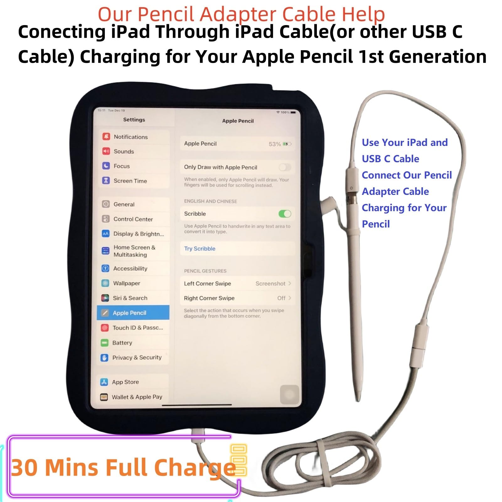 USB C to Apple Pencil Adapter, 30 Minutes Full Charge for iPencil 
