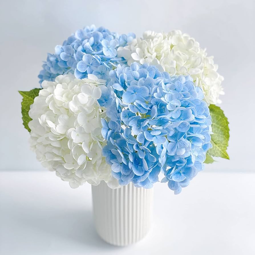 ◆Hydrangea4936◆ Vendetta Hydrangeas - Floom Collection | Flowers | Floom