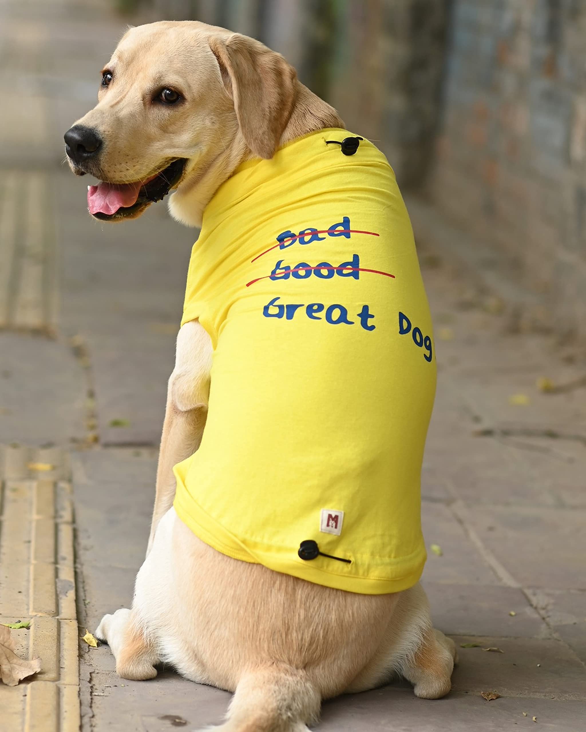 See full amazon price history chart for Mutt of Course Great Dog Dog T Shirt (Neck - 16 | Chest 23 | Length - 21") (2XL) Mutt of Course Great Dog Dog T Shirt (Neck - 16 | Chest 23 | Length - 21") (2XL) (B097Q9M3S5) Amazon Price History, Amazon Price Tracker