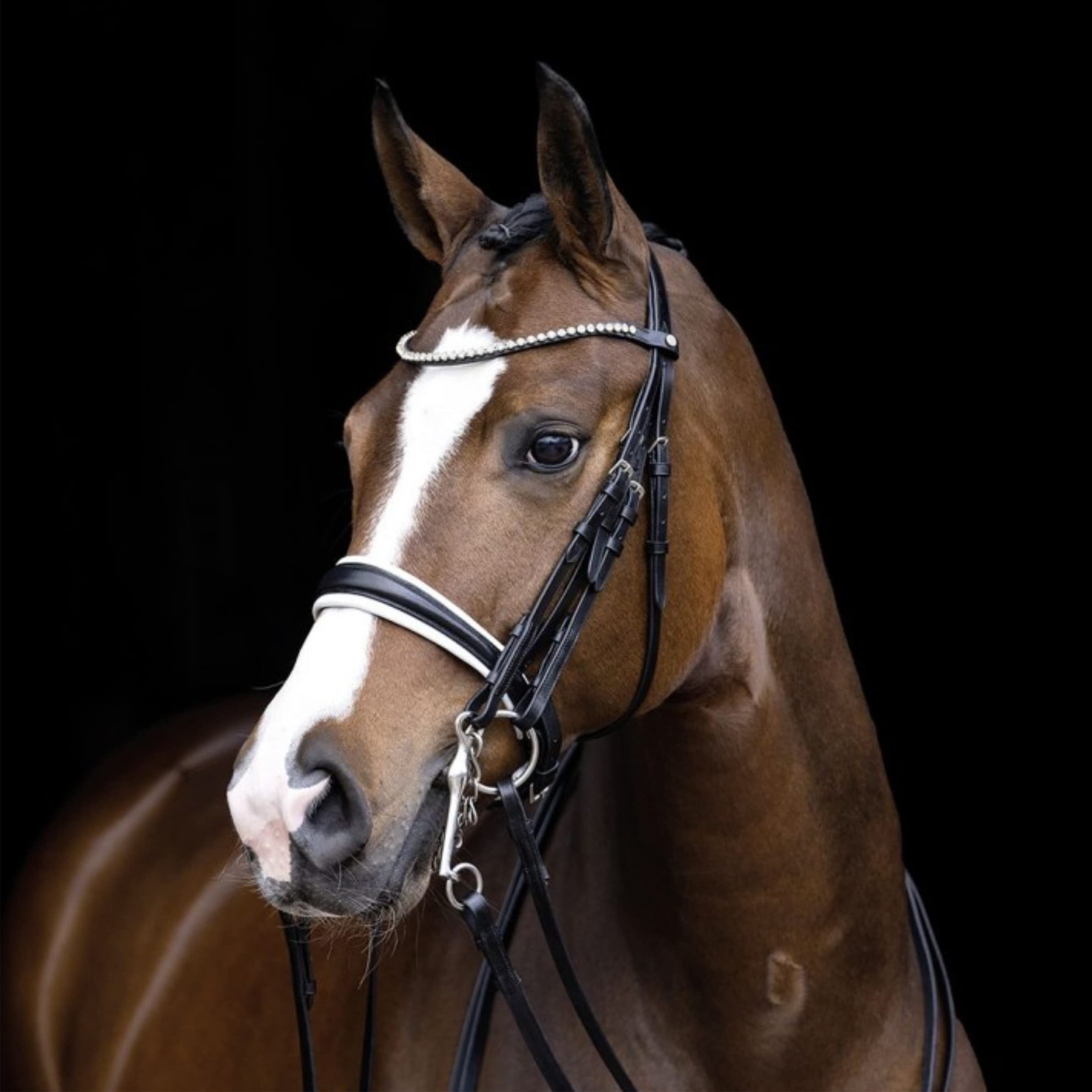 Caballetes HKM Dina Negro con ajuste anatómico para hípica