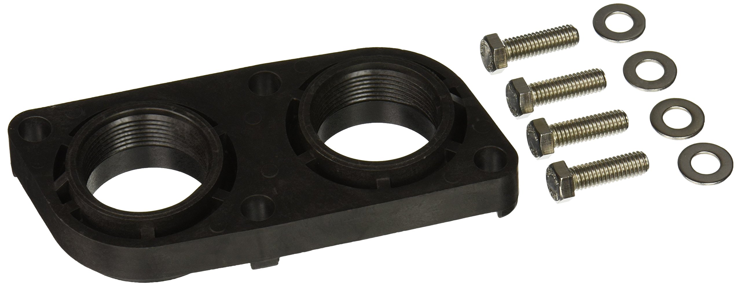 Pentair 471083 1-1/2-Inch Threaded Connection Quick Flange II Replacement  Kit MiniMax 75/100 Pool and Spa Heater : Amazon.ca: Patio, Lawn u0026 Garden