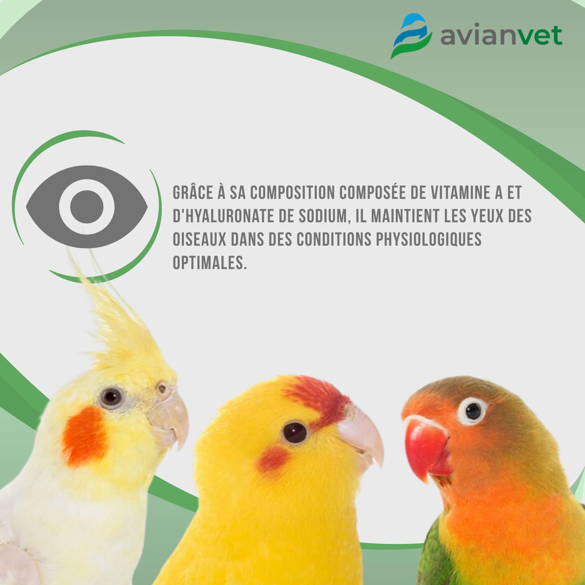 Visvitae | Collyre pour les lésions oculaires des oiseaux | Maintient les yeux hydratés, humidifie et protège la cornée 15g