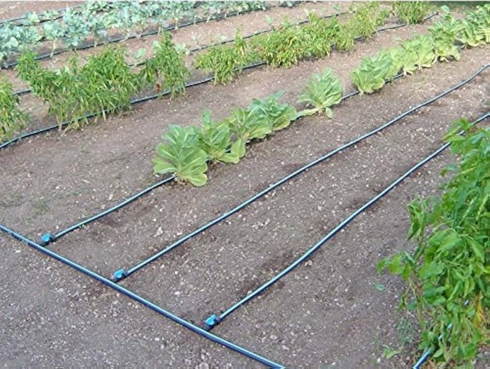 Kit Irrigazione a Goccia per Orto, 250 Metri Quadrati, con Ala Gocciolante 250m, Tubo Polietilene 20mm, Filtro, Raccordi, Sistema Fai da Te, Idraulico (distanza gocciolatore 30 cm)