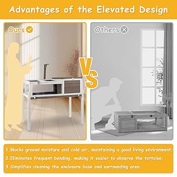 Tortoise Tables For Sale Ogrmar 38