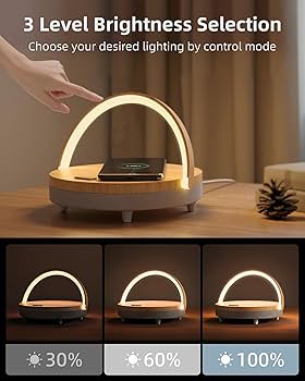 IDEE(イデー) ACT MOBILE LAMP W545 在庫限り】ACT MOBILE LAMP LARGE｜ペンダントランプ｜IDEE SHOP