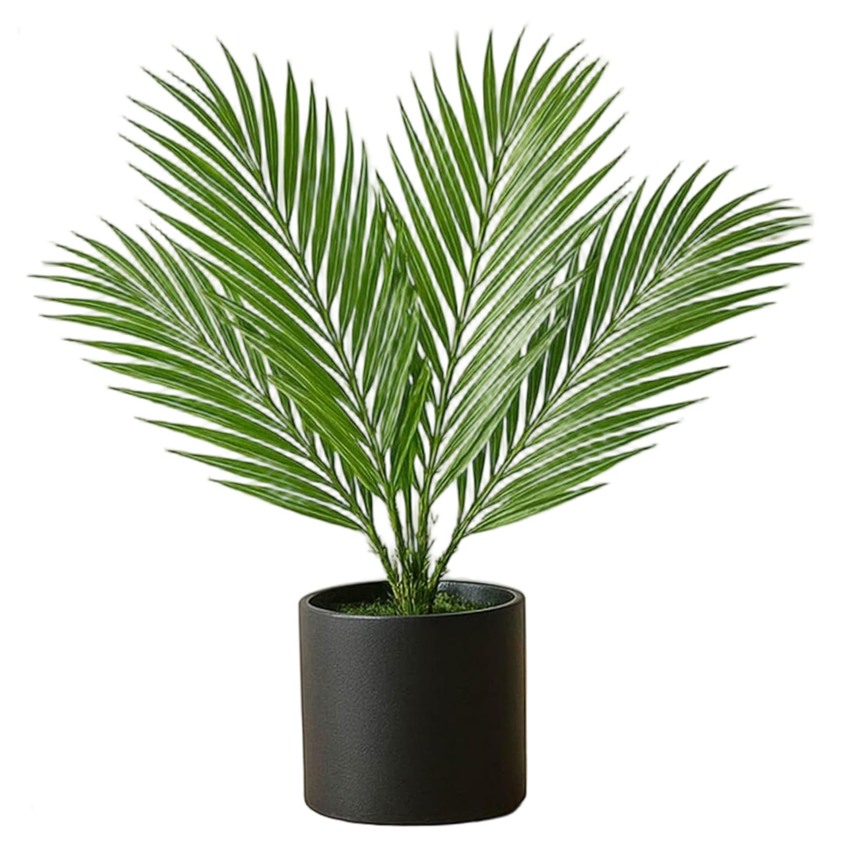 Lampe Palm Paradise : palmier artificiel 18 LED USB pour decoration chambre et maison