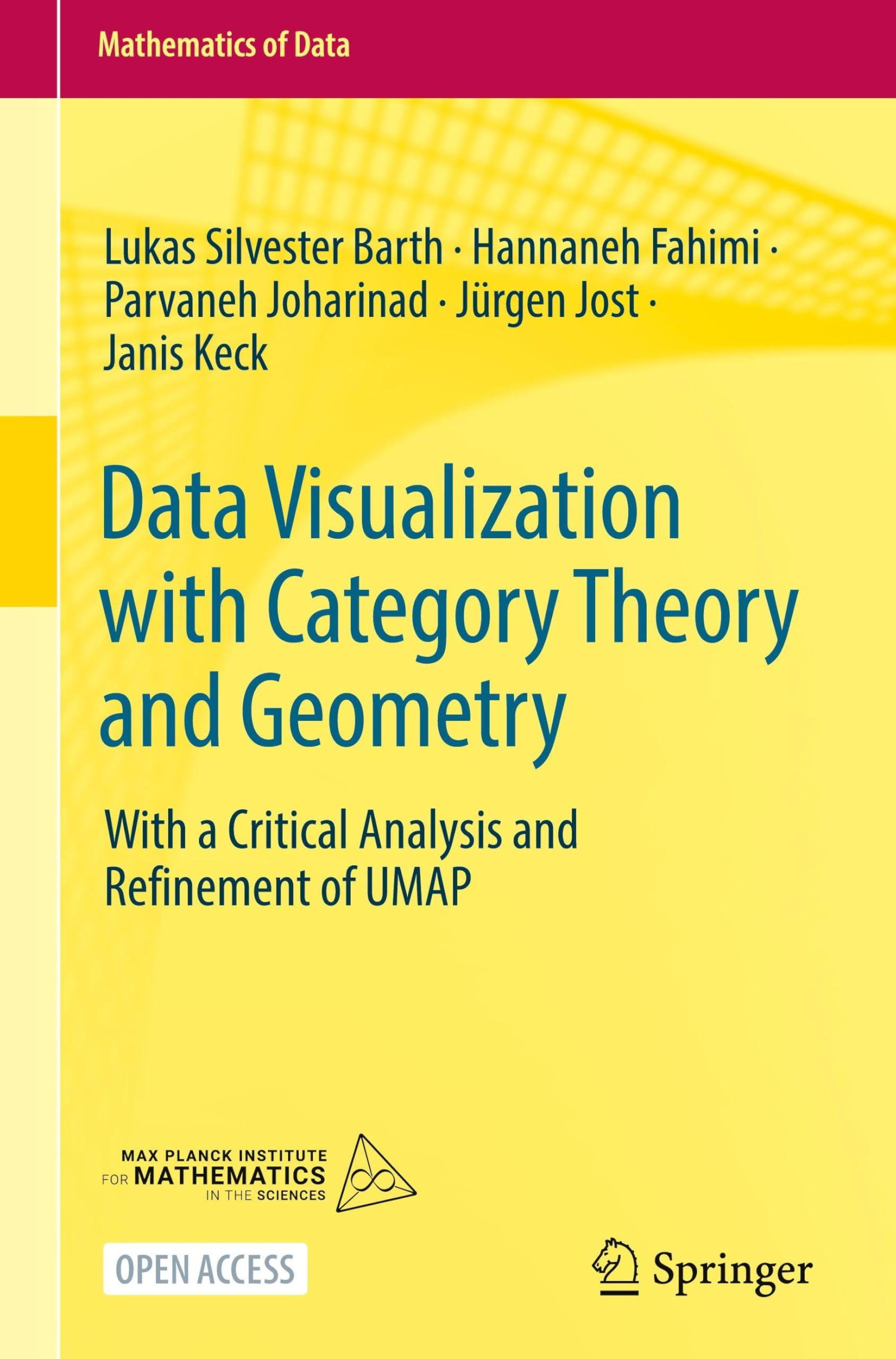 Data Visualization with Category Theory and Geometry: With a Critical Analysis and Refinement of UMAP: 3 (Mathematics of Data, 3)