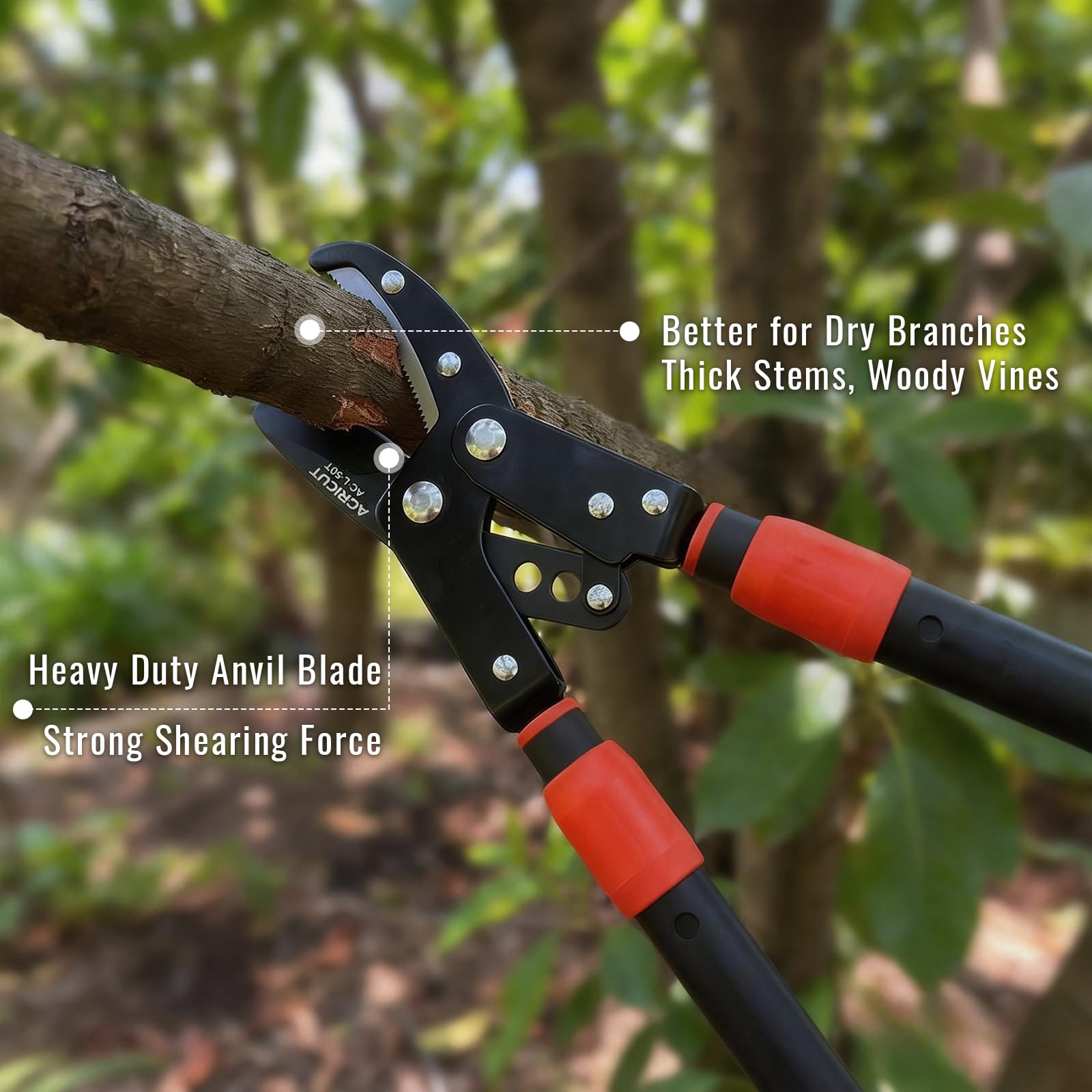 AGRICUT Troncarami telescopico da giardino a incudine, estendibile per alberi da 66 cm a 102,9 cm, capacità di taglio 5,1 cm, taglierina per rami resistente con lama in teflon in acciaio al carbonio