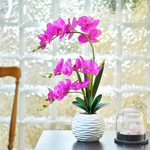 Vista 25 de Flores artificiales de orquídea de tacto real en maceta, flor falsa de Phalaenopsis con jarrón de cerámica blanca, arreglo de orquídeas sintéticas