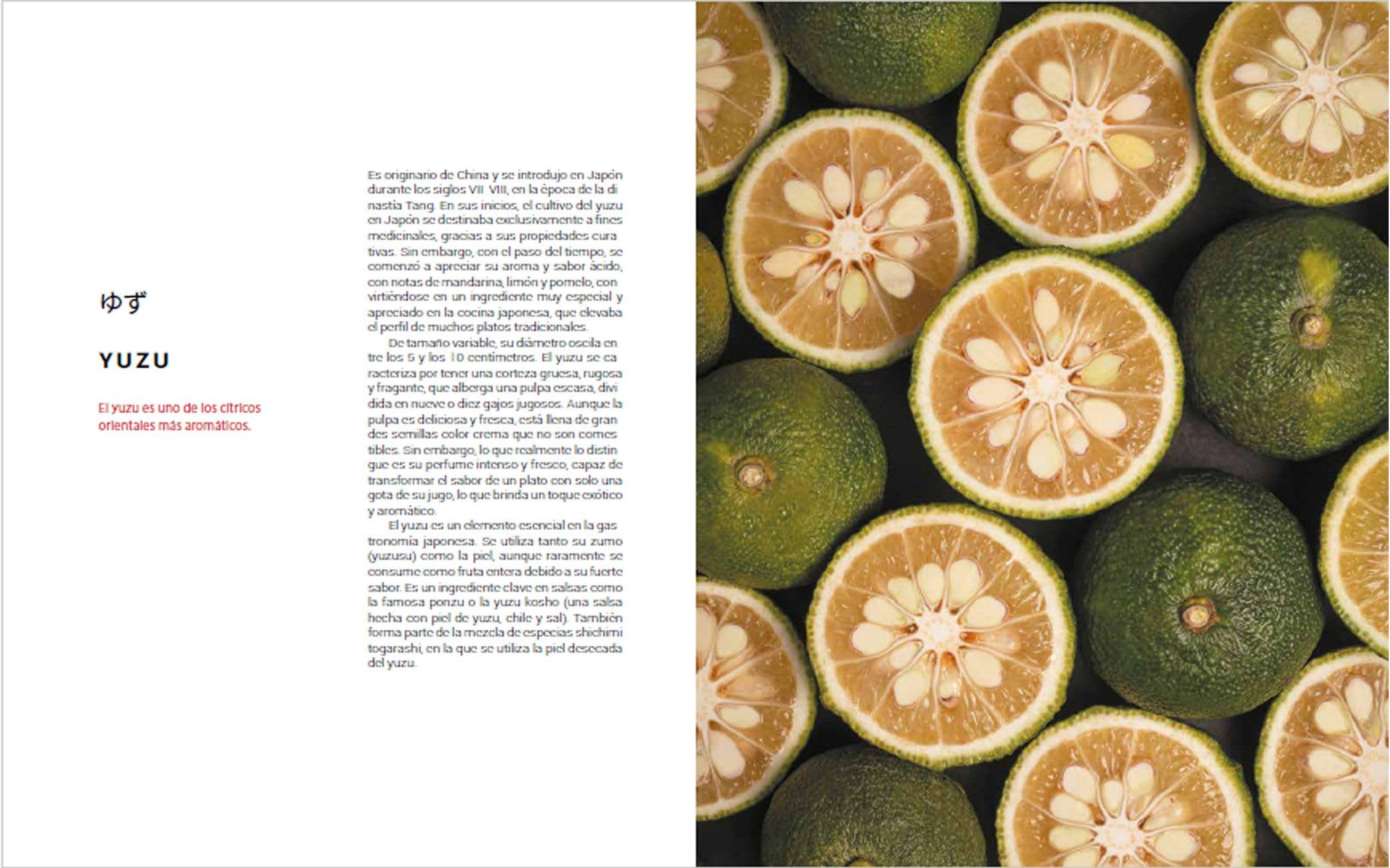 El mundo del sushi (Cocina Temática)