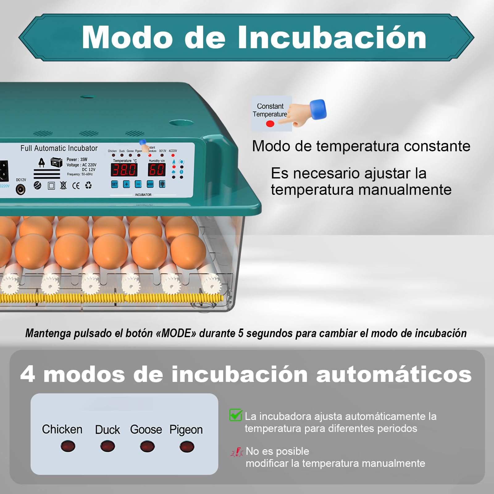 CoInceptus Incubadora Huevos Gallina, Incubadora de 24-36 Huevos con Volteo Automático de Huevos y Humidificación automática, Incubadora para Huevos de Gallina, Codorniz, Pato, con Lámpara de Huevo