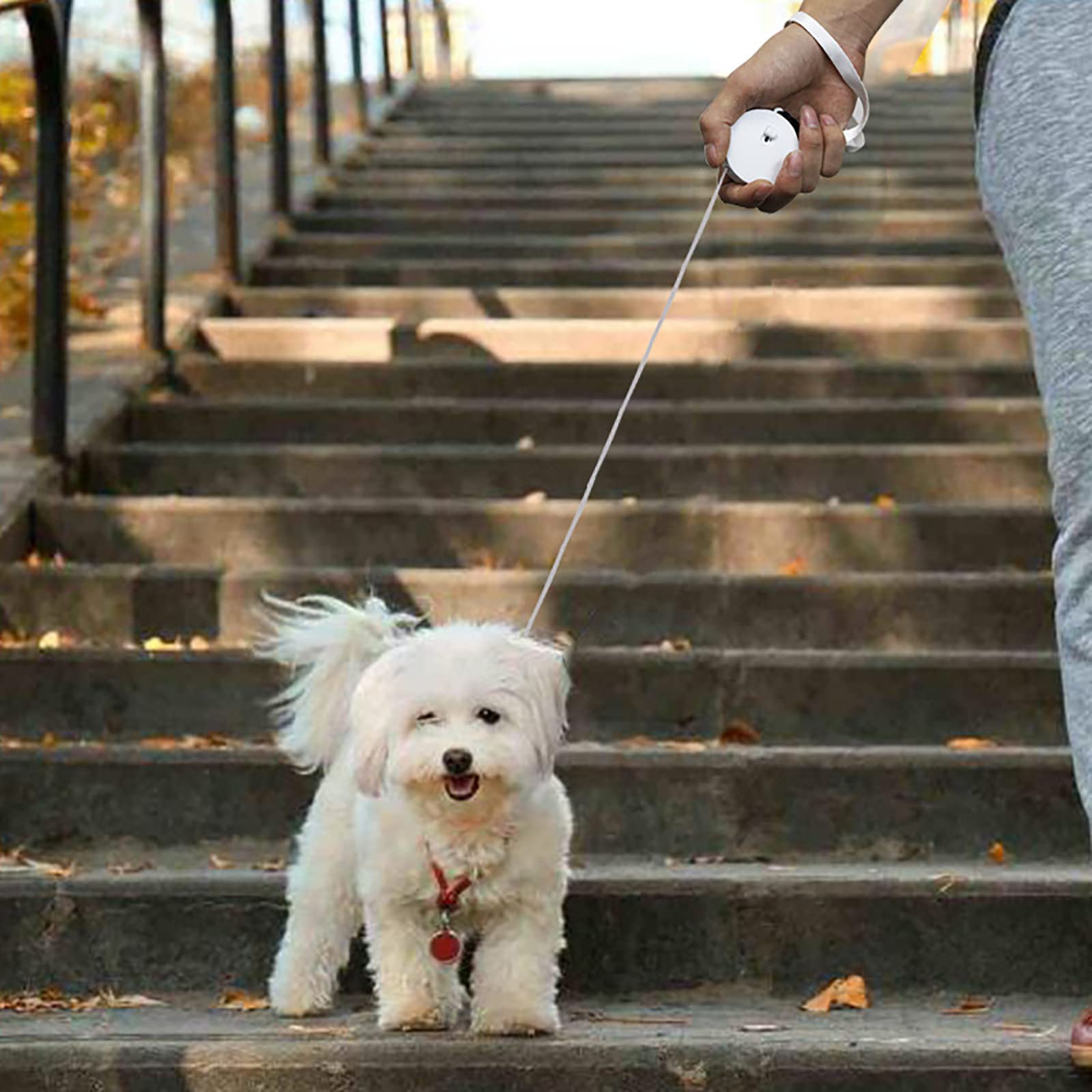 Guinzaglio Retrattile per Cani Taglia Media e Piccola 360° Groviglio-Free Guinzaglio per Cani Retrattile Allungabile Nylon Resistente da 3 Metri Nastro