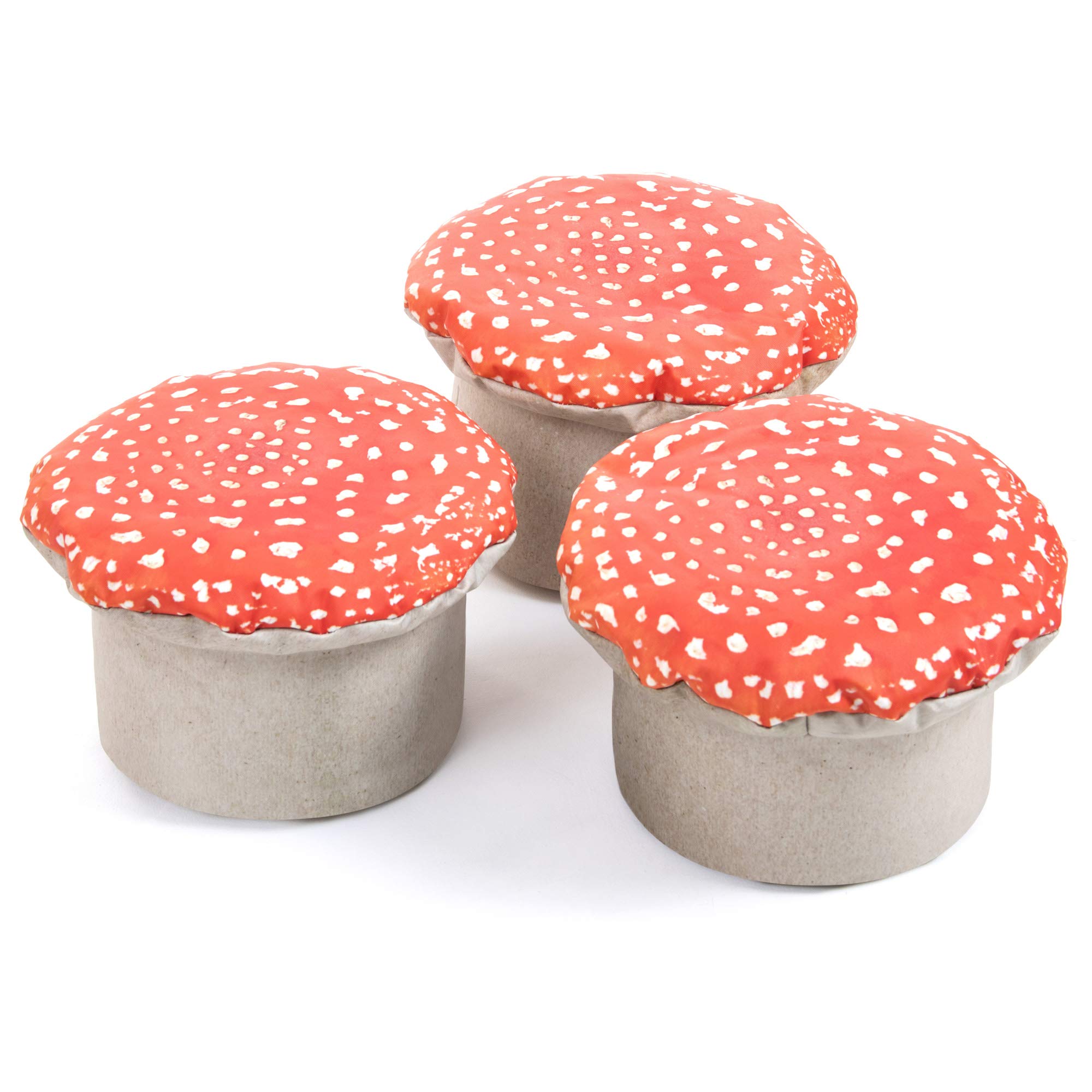Office Needs Direct Learn About Nature Woodland Toad Stool Early Years Pack 3