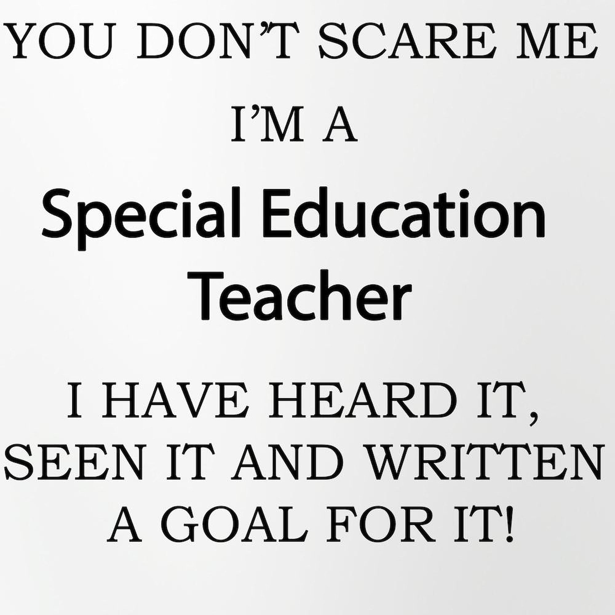 CafePress Special Education Teacher Pint Glass, 16 oz. Drinking Glass