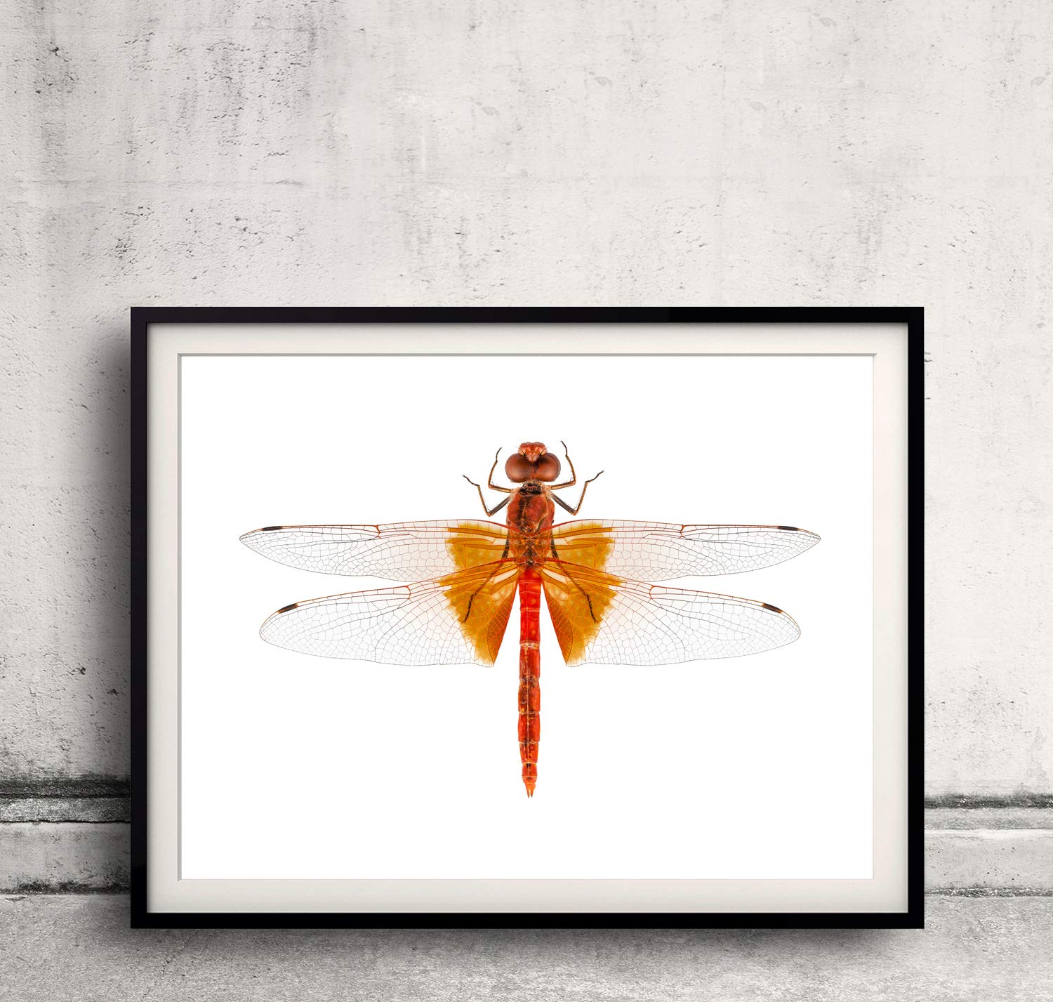 Plastruct CFS-5 Channel5/32 6 PLS90534 Plastic Building Supplies