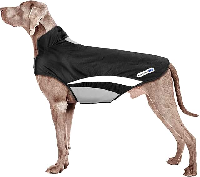 Buddypuppy Hundemantel Winter, Regenmantel Hund Wasserdicht, Fleece Hundejacke für Mittel Grosse Hund mit Geschirrloch & Reflexstreifen product image