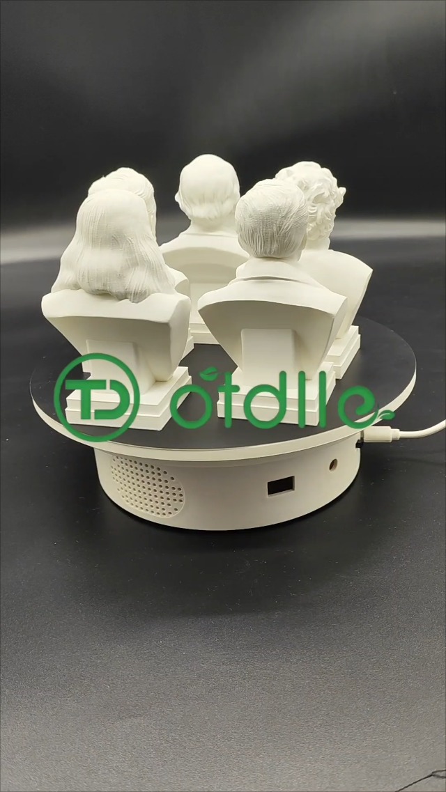 Busto Charles Darwin Estatua Decorativa 6 x 4 x 3 in miniatura 7