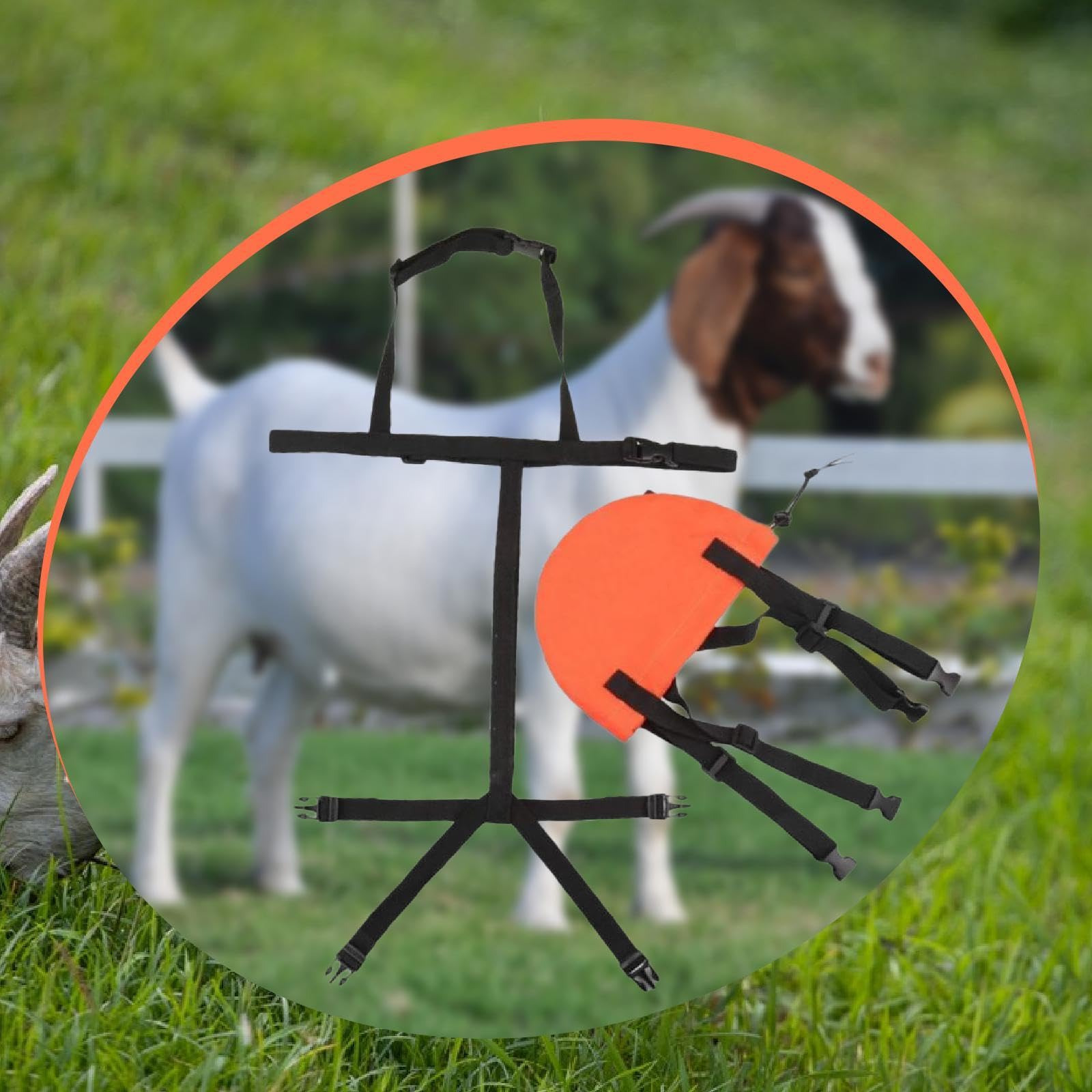 Perfeclan para Cabras, Correa de Pecho Ajustable, Suministros para Ganado, Bolsa para Sujetar Cabras
