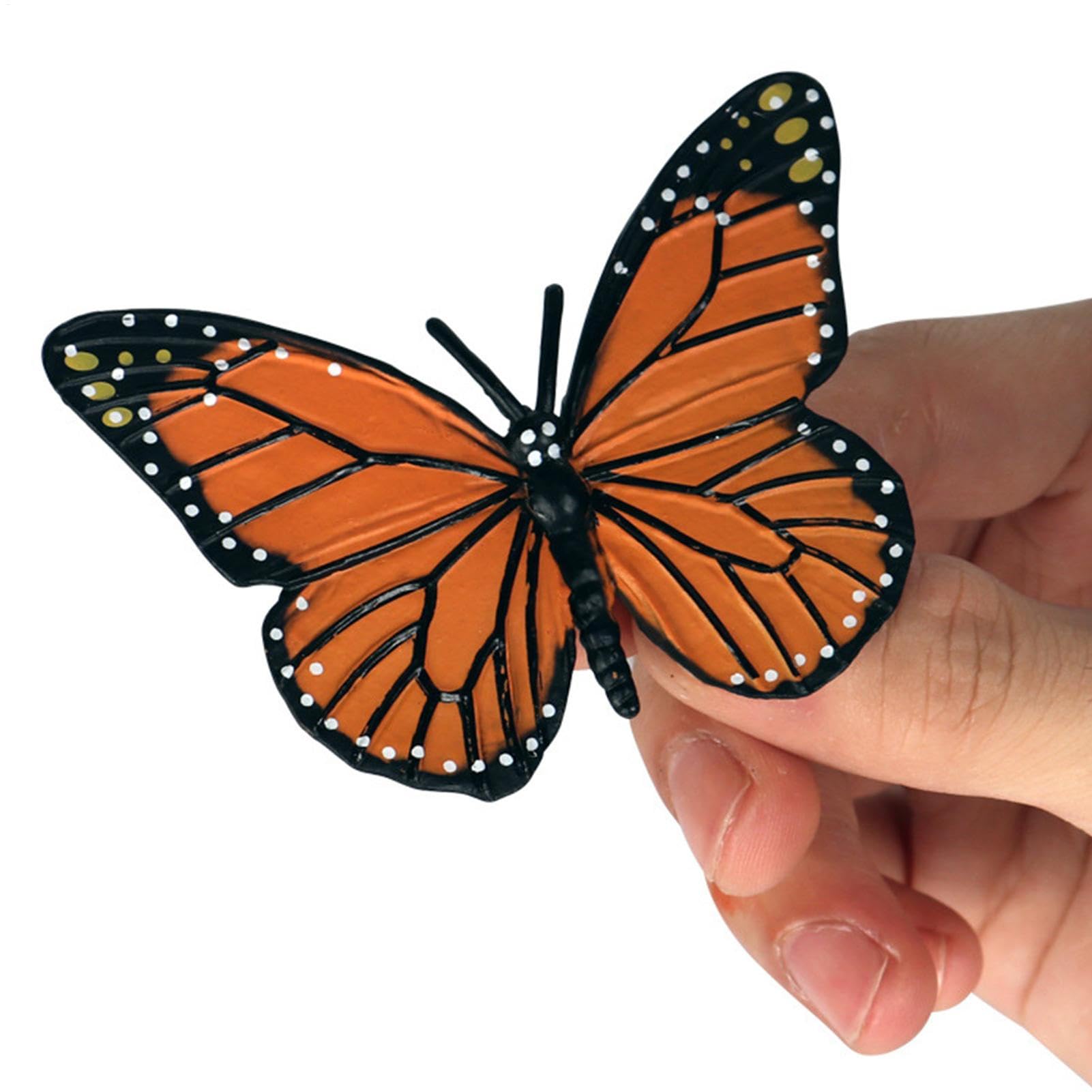 Insectss Life Cycle Figurines - Educational Biological Growth Stages, Realistic Hand-Painted Learning Models, Durable Odourlesss PP Plasticss Build, 4 to 5 Piece Development Sets - for Kids 3 Years — view 3