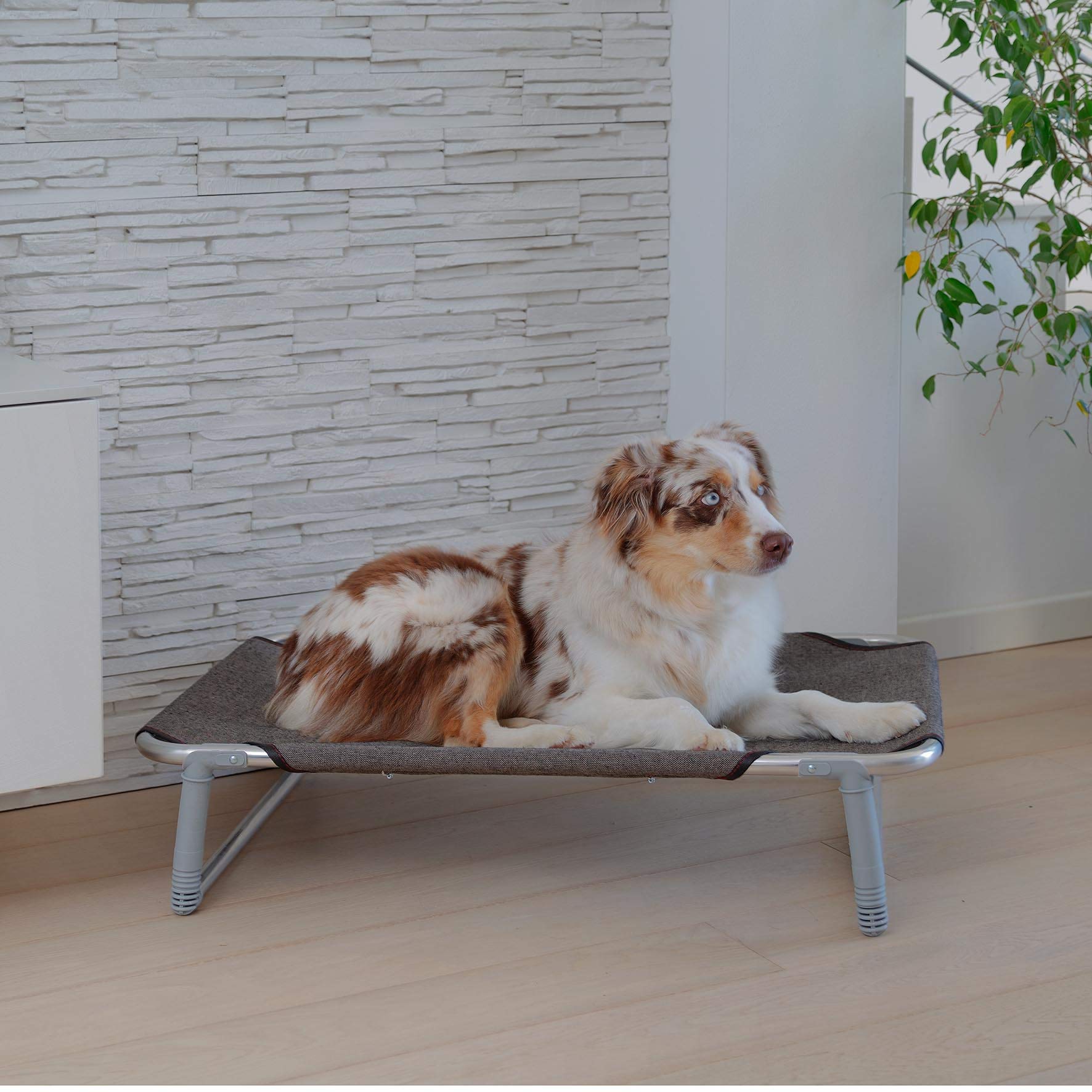 Ferplast Lettino per Cane, Cuccia Cane, Brandina pieghevole per cani DREAM 80, solida struttura in alluminio, Telo in tessuto, 84 x 54 x h 18 cm Tortora