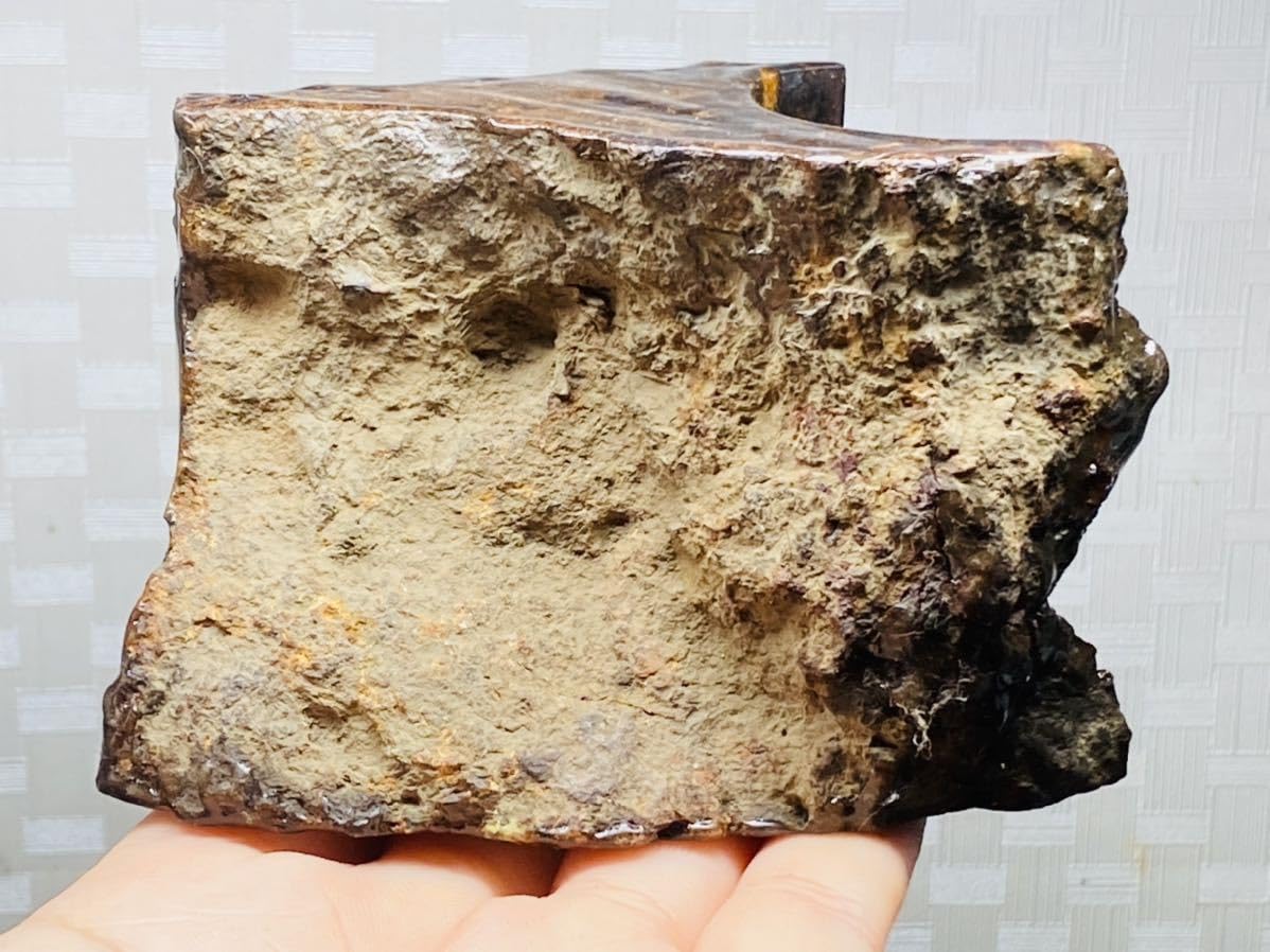 Amazon.co.jp: 鑑別書付き 大型 476g 宇宙パワー パラサイト隕石